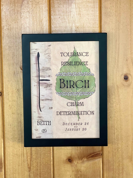 Birch Tree & Ogham Letter Beith