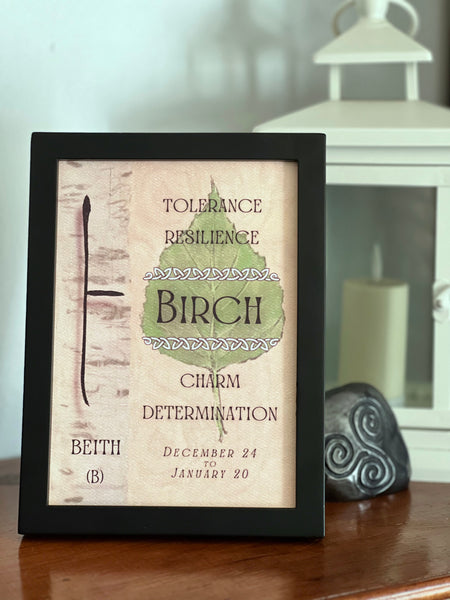 Birch Tree & Ogham Letter Beith