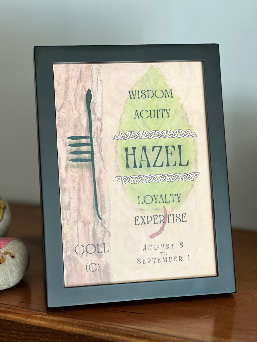 Hazel Tree & Ogham Letter Coll Celtic Tree Astrology OghamArt