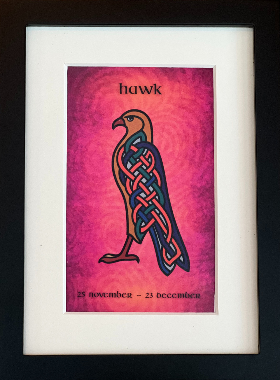 Hawk (Falcon) • November 25 to December 23 • Celtic Animal Astrology