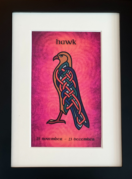Hawk (Falcon) • November 25 to December 23 • Celtic Animal Astrology