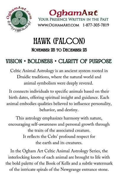 Hawk (Falcon) • November 25 to December 23 • Celtic Animal Astrology
