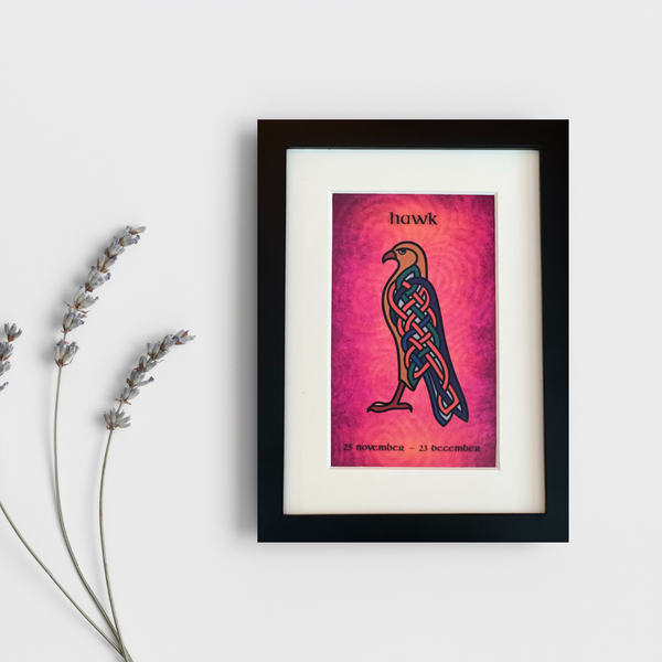Hawk (Falcon) • November 25 to December 23 • Celtic Animal Astrology