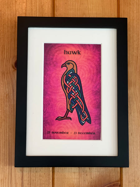 Hawk (Falcon) • November 25 to December 23 • Celtic Animal Astrology
