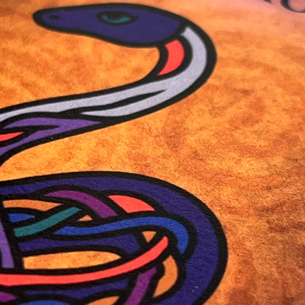 Snake (Adder) • February 18 to March 17 • Celtic Animal Astrology