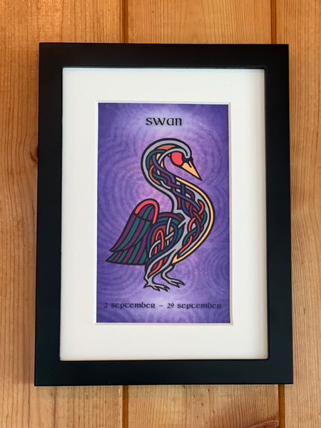 Swan • September 2 to September 29 • Celtic Animal Astrology