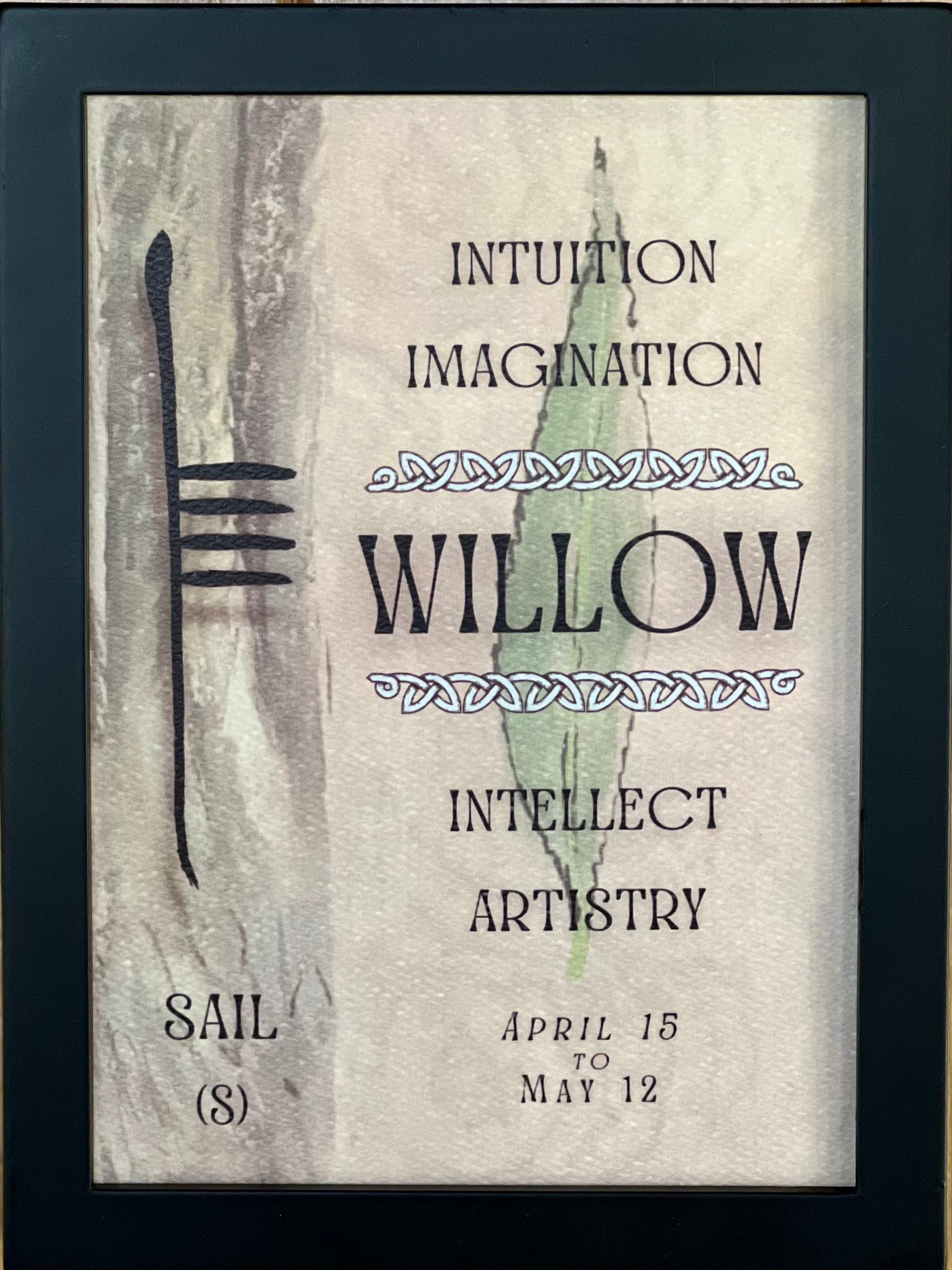 Willow Tree & Ogham Letter Sail