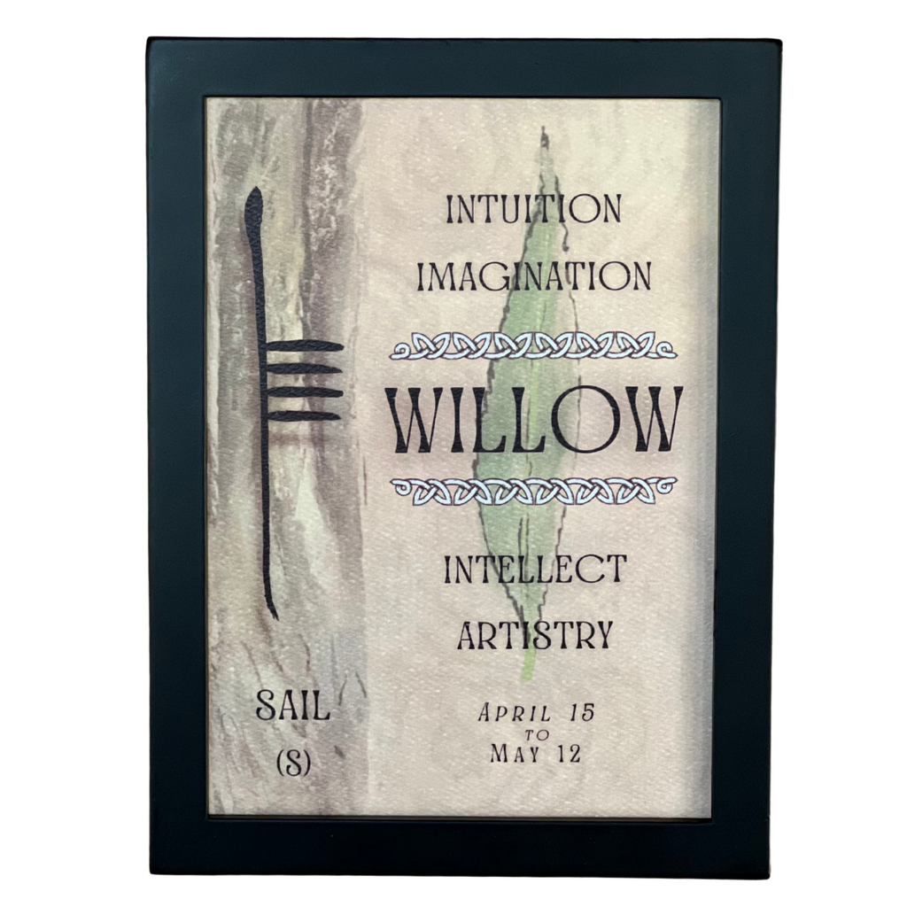 Willow Tree & Ogham Letter Sail