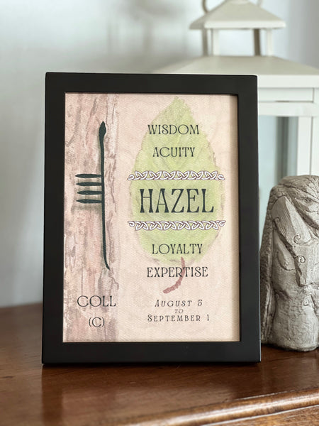 Hazel Tree & Ogham Letter Coll