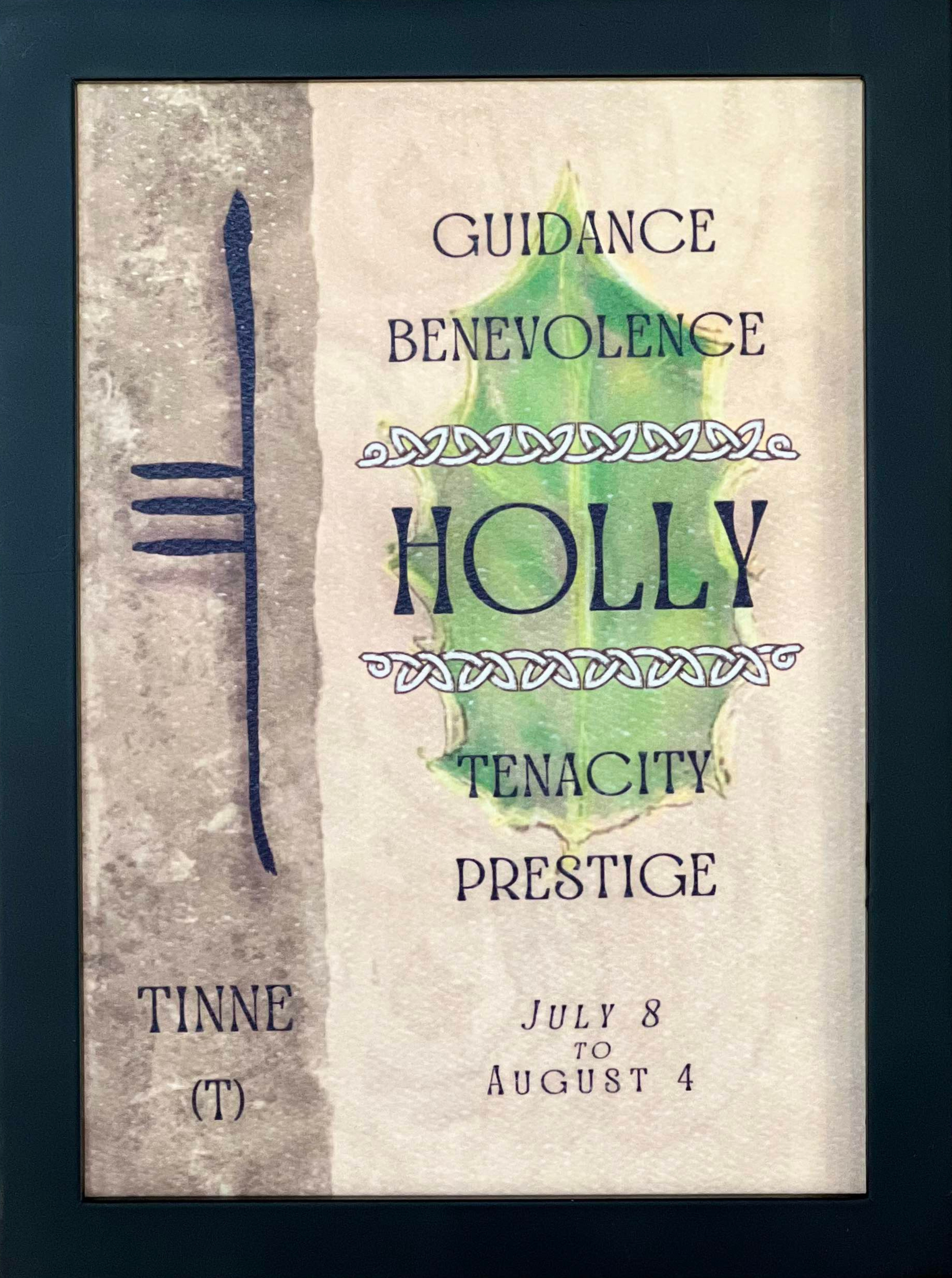 Holly Tree & Ogham Letter Tinne