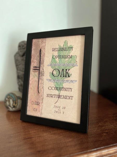 Oak Tree & Ogham Letter Dair