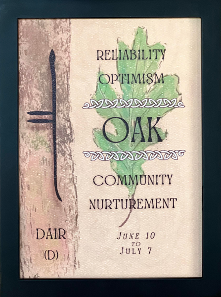 Oak Tree & Ogham Letter Dair