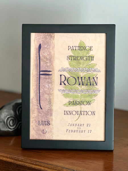Rowan Tree & Ogham Letter Luis