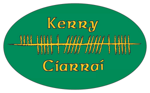 Ogham Art County Kerry Ireland Bumper Sticker