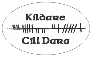Ogham Art County Kildare Ireland Bumper Sticker