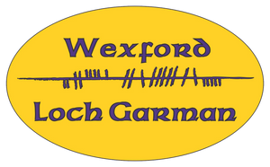 Ogham Art County Wexford Ireland Bumper Sticker